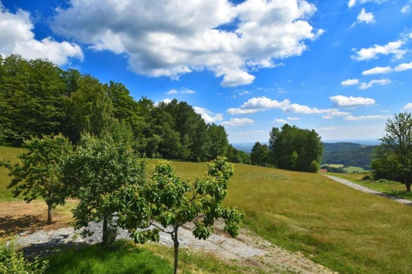 Holiday flats Haus am Wald Zenting-Wohnung für 4 Personen 56 qm - foto 22
