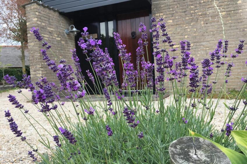 De Schelp 07 - foto 30