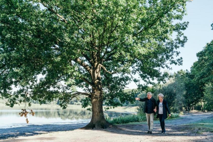 Vakantiepark Latour 2 - foto 38