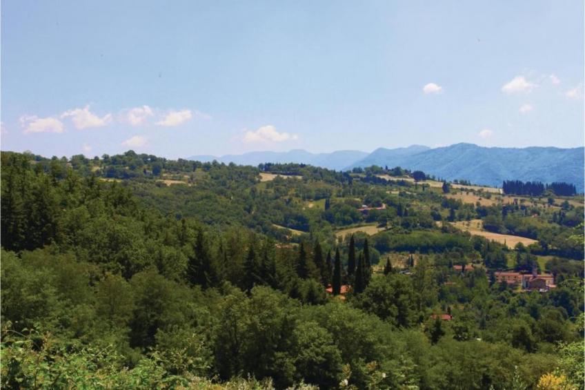 Il Ciliegio - foto 29