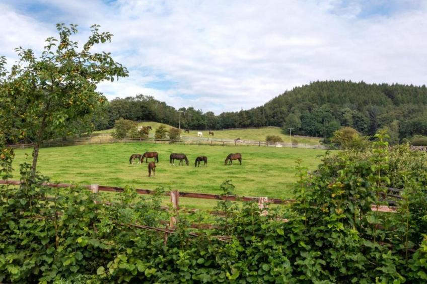 Bilsdale Hall Cottage - foto 37