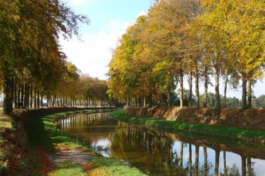 Vakantiepark Hessenheem 2 - foto 29