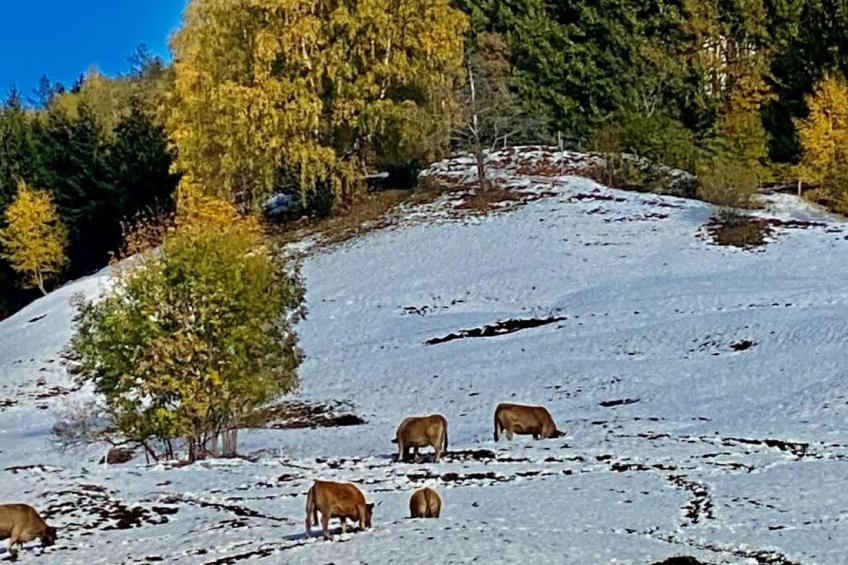 Chalet Kristall - foto 24