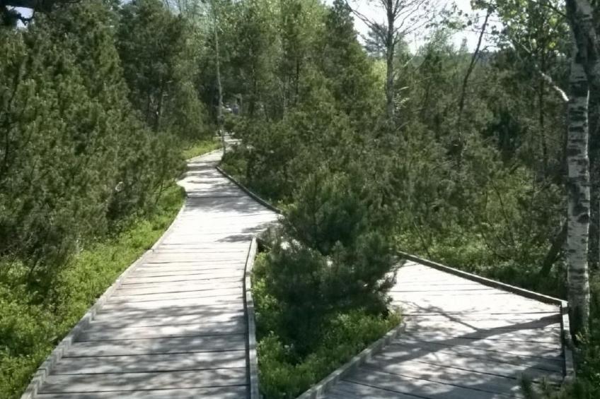 Haus Annemarie - foto 20