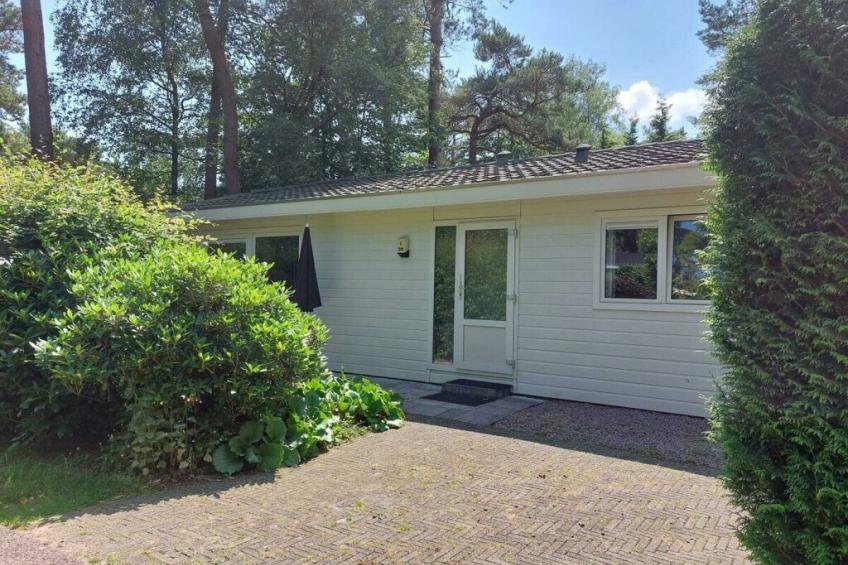 781916 - foto 2