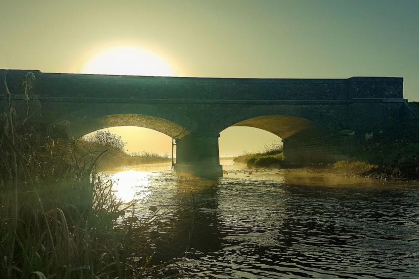 Le domaine des roseraies, gîte les roseraies - foto 47