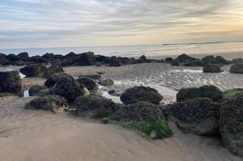 't Margrietje1 - foto 24