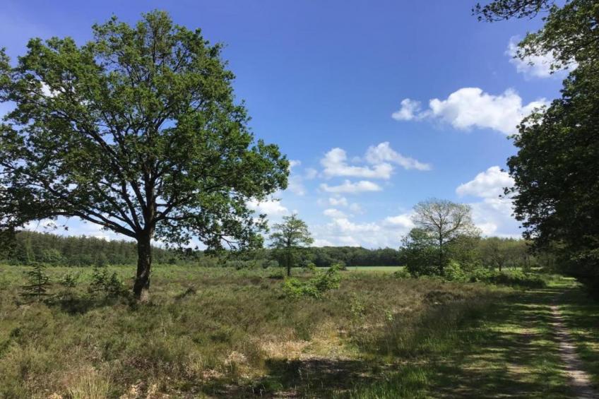 Acker Lodges 3 - foto 32