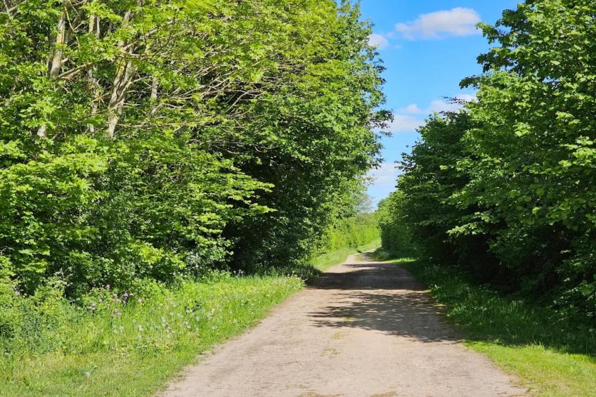 Am Gänsegarten - XL - foto 37