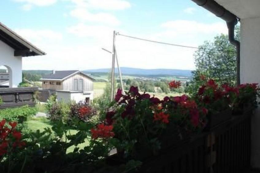 Haus Steinwaldblick - foto 12