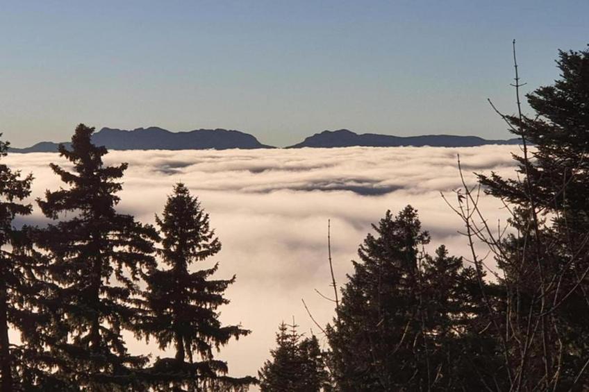 V. du Bachat - Sorbiers F N°11 - 2P6 - foto 35