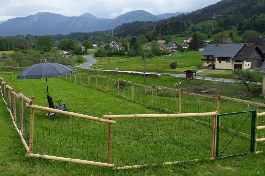 Johanna in Dreulach - foto 17