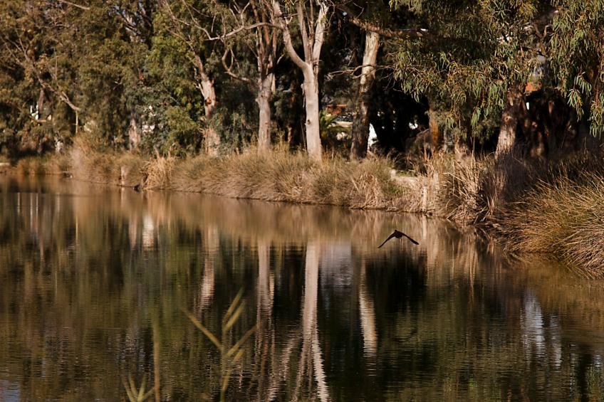 Luxuriöses Apartment mit einem Schlafzimmer direkt am Wasser, Meerblick - foto 33