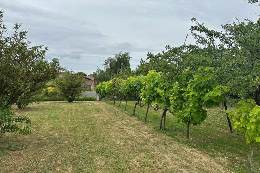 Val du Loire - foto 16