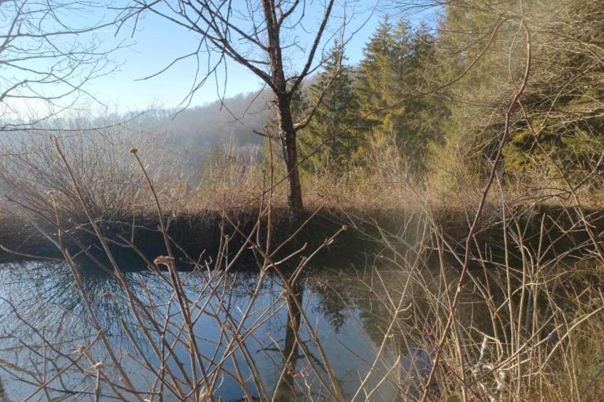 Chalet - ABBÉVILLERS - foto 39