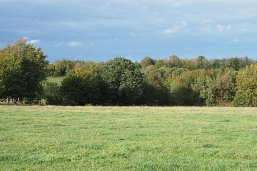 Exklusives Ferienhaus mit Terrasse und Garten - foto 22