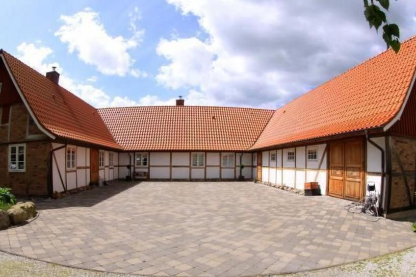 Studio Eagle - foto 15