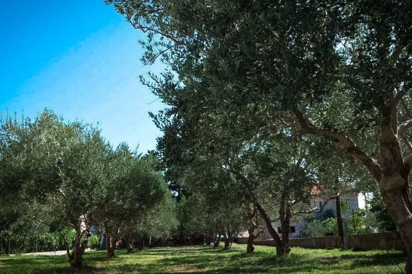 Modernes Ferienhaus in Dobropoljana mit Terrasse, Garten und Grill - foto 7