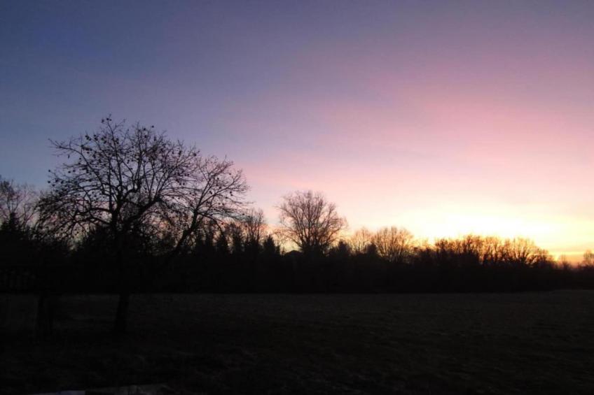 Le Do None Tre - foto 16