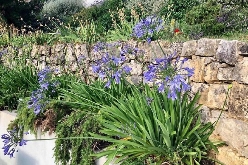 Côte d'Azur ganze Villa beheizter Pool Meerblick - foto 41