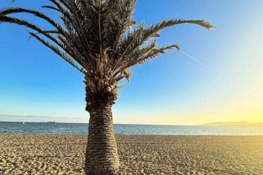 Appartement 4pers - Accès Direct à La Plage/ Fréjus - foto 35