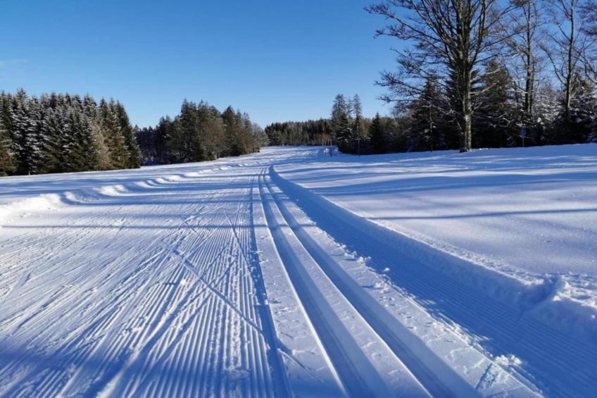 Holiday park Geyersberg Freyung-Appartement Typ A Standard - foto 18