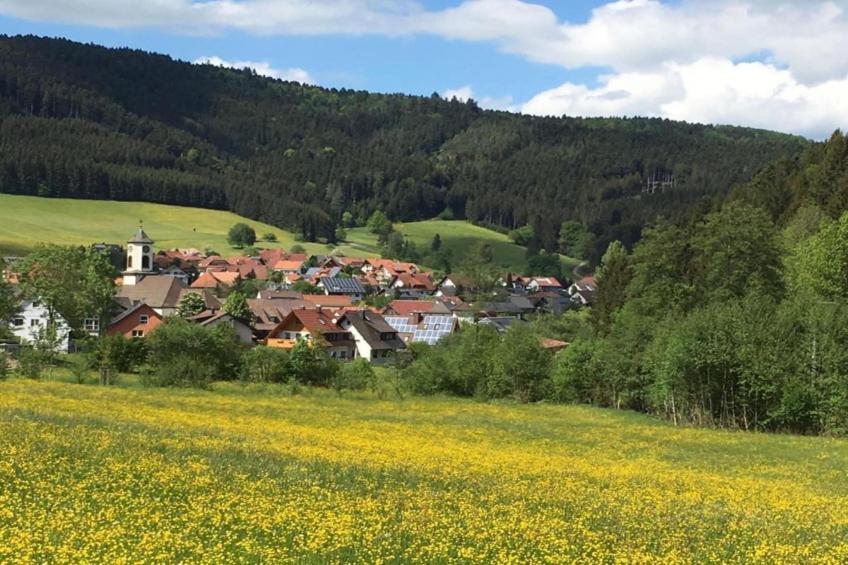 Panoramablick - foto 35