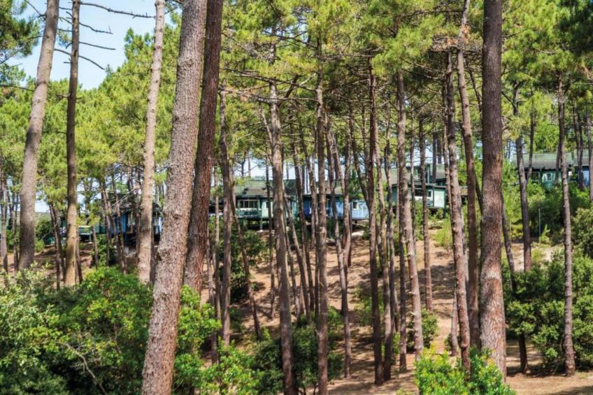 VC02/8 - Villa Castiglioni - foto 40