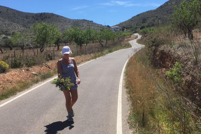 Casa Montana in Küstennähe... sehr empfehlenswert. - foto 35