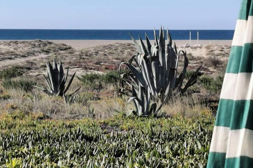 Résidence Maisons De La Mer 2 - foto 25