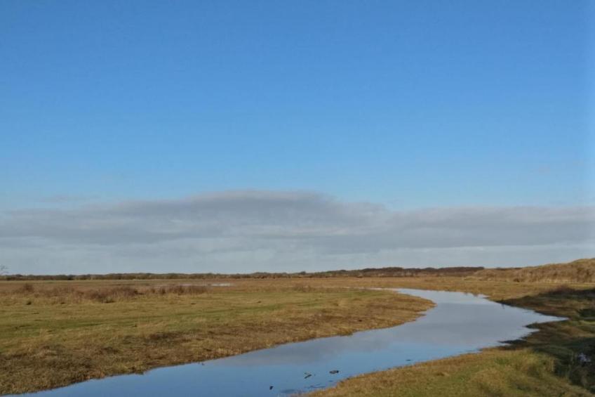 Kustpark Texel - foto 37