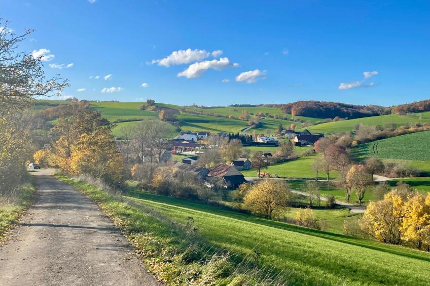 Nassauer Forsthaus - foto 36