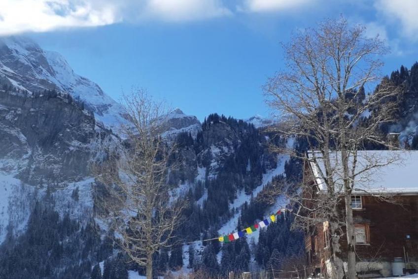 Rietberg 8 Braunwald - foto 3