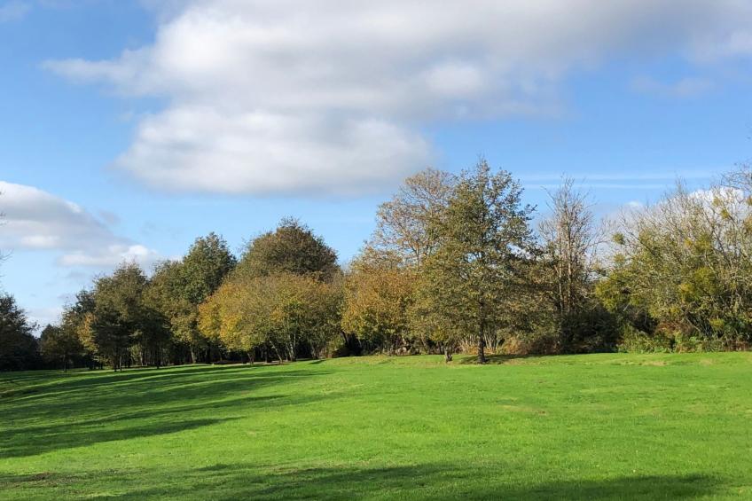 direkt am Strand - foto 4