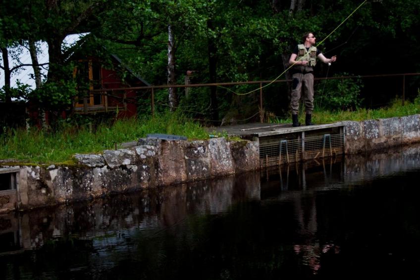 direkt am See gelegen - foto 13