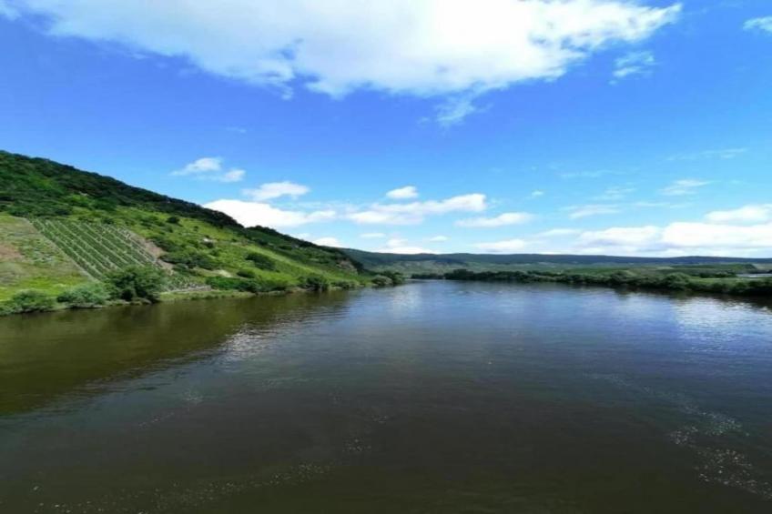 Ferienwohnung mit Moselblick - foto 33