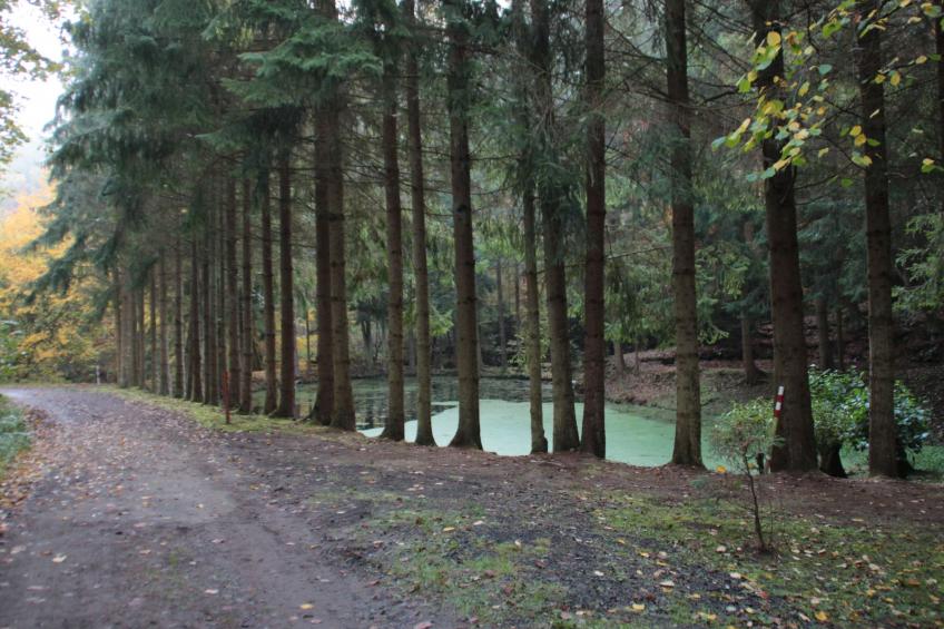 Haus Schmetterfly - foto 33