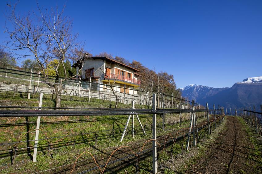 Balcone Panoramico sul Garda - foto 13