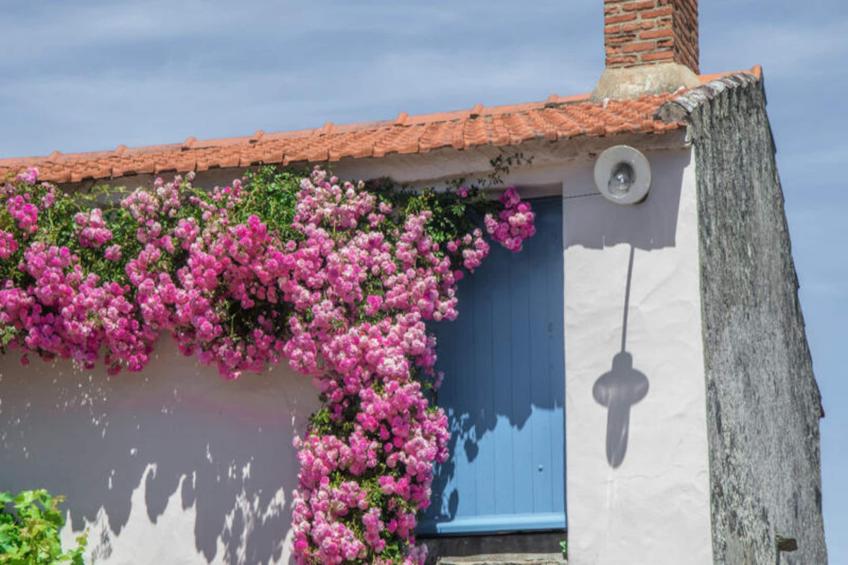 Maison à Saint-Hilaire-de-Riez - foto 28