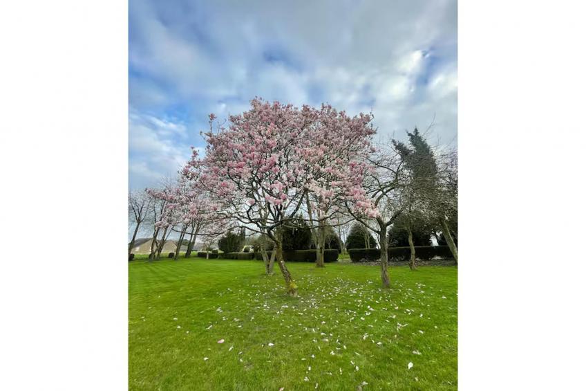 Gîte l'Armor  Jacuzzi terrasse privée cuisine - foto 7