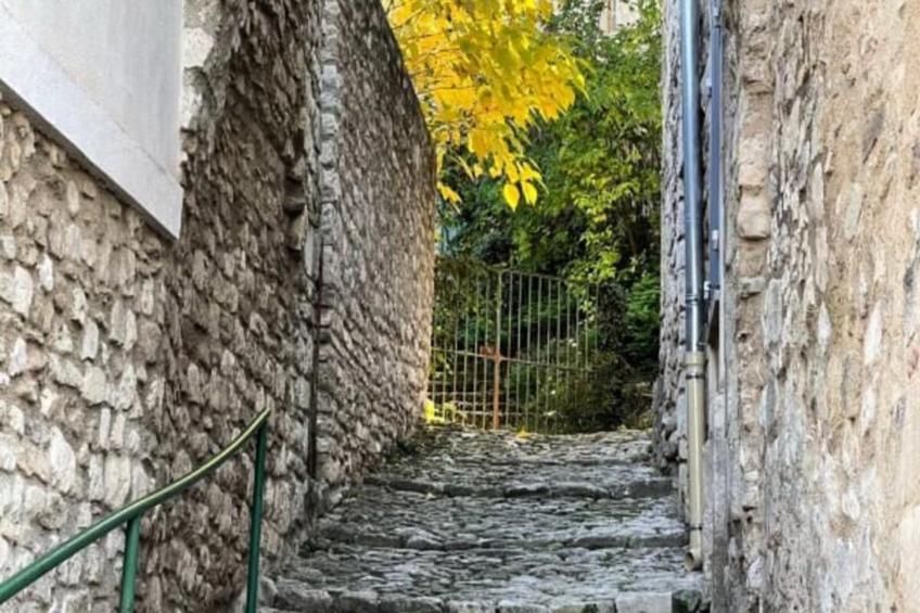 Le Chant Des Cigales - foto 15