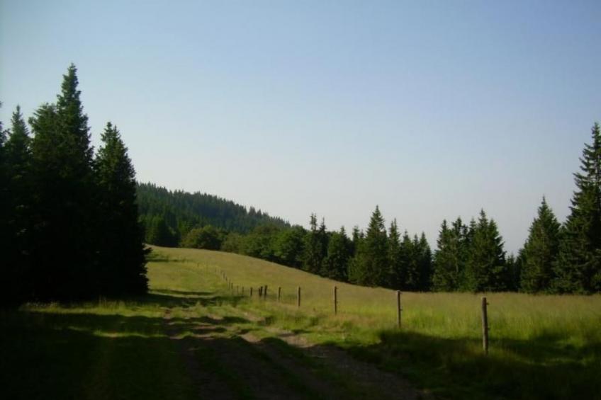 Wohnung Rozika - foto 13