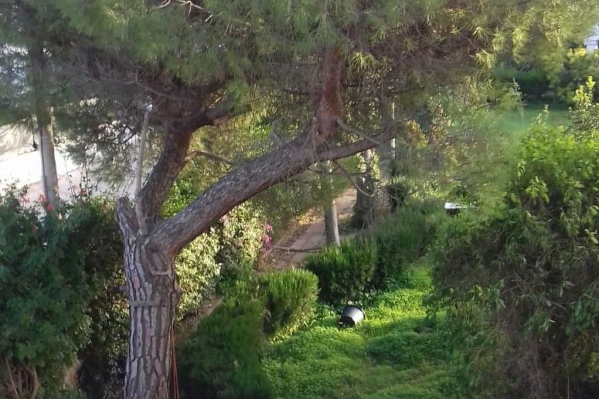 Villa Alma Wohnung in Villa - foto 25