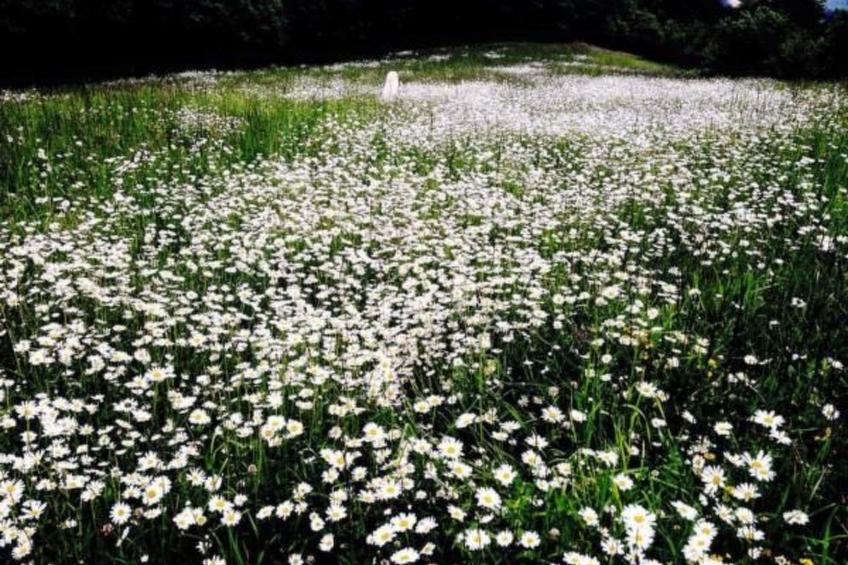 Piccola casa romantica - foto 14