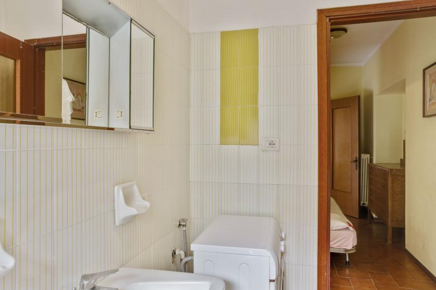 Rododendro - foto 19