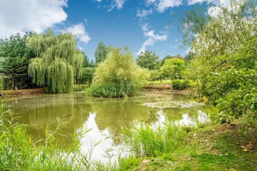 Le Bateau du Lac Privé - foto 32