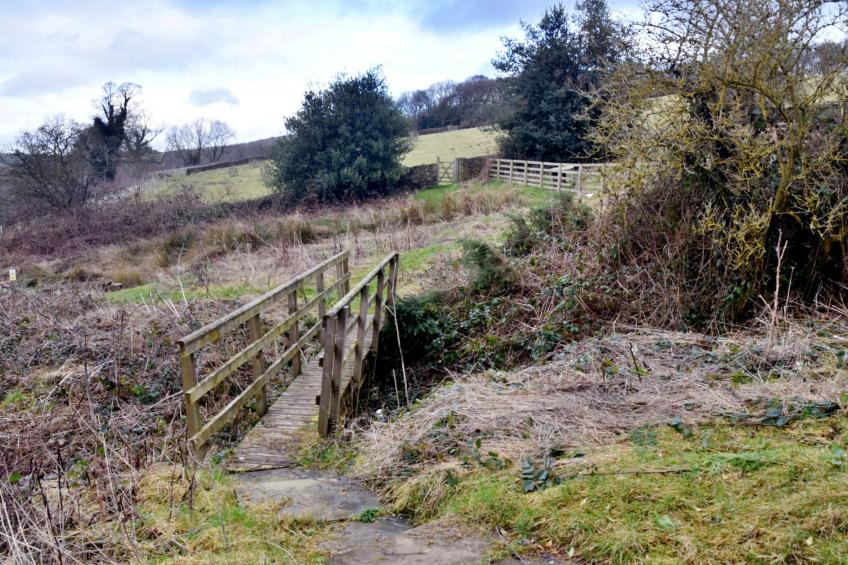 Heather Lea - foto 4