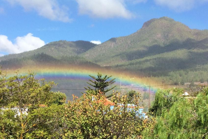 Las Tortugas - foto 3