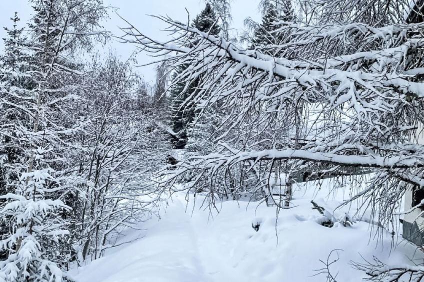 Rodas Soura 5 - foto 27