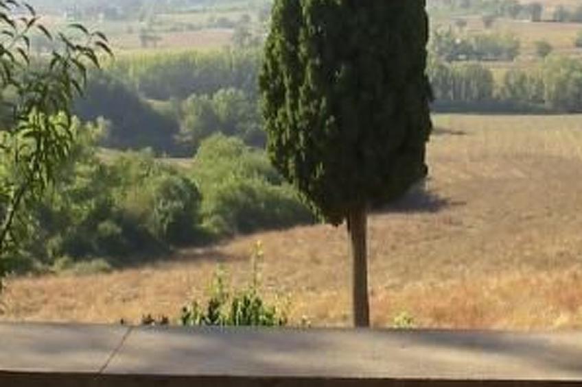 Toskana Poggio Cantarello - foto 12